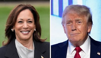 Russia backs Trump and Iran supports Harris in efforts to influence the election, US intelligence says
