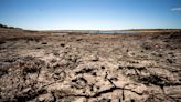 UK weather: The areas which still haven't recovered from last summer's heatwave