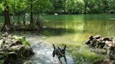 It's back: Pet-deadly, harmful blue-green algae detected in Lady Bird Lake, Lake Austin