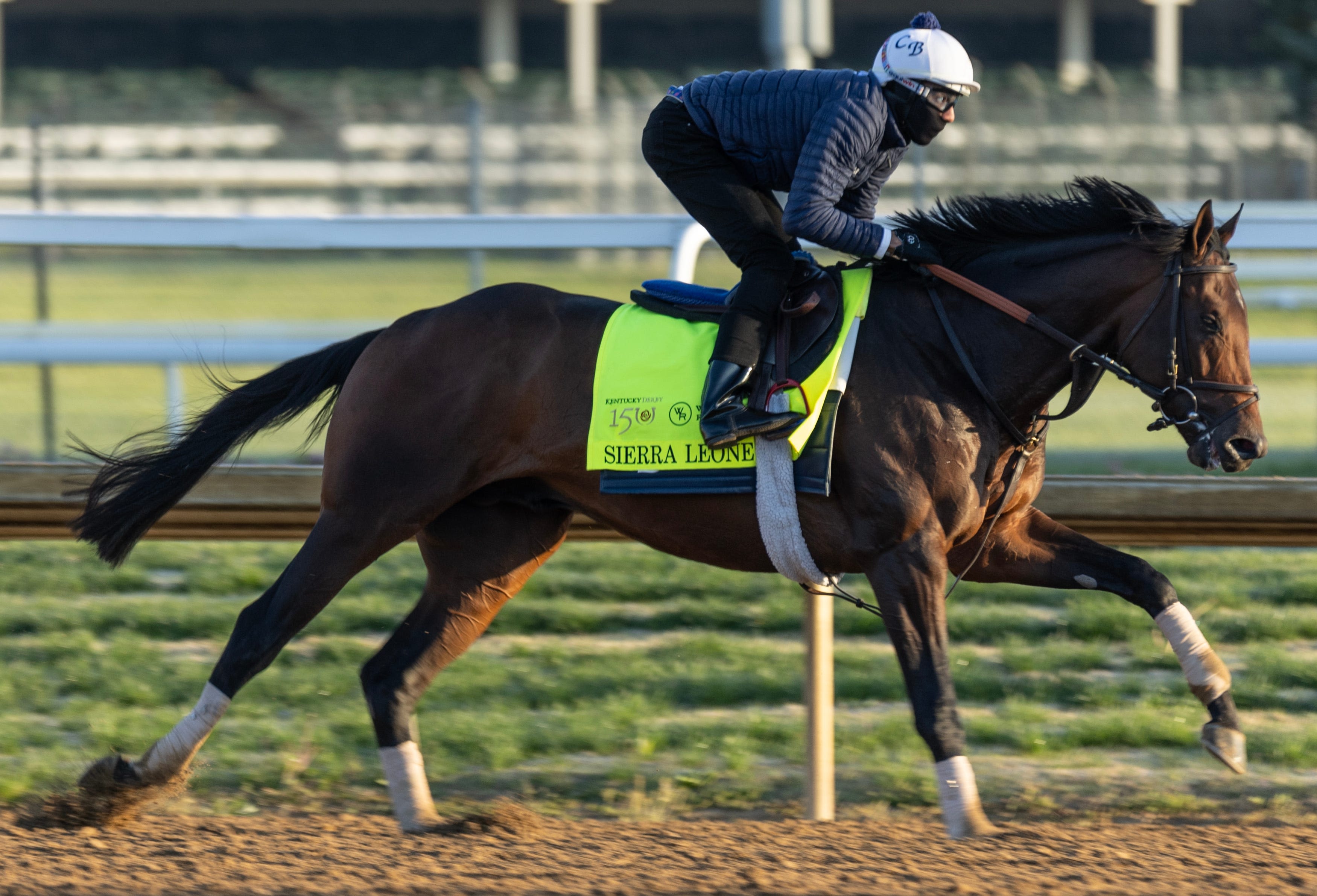 Belmont Stakes 2024 odds, post positions and field: Sierra Leone is morning-line favorite