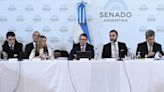 Ley de Bases: el Senado retoma el tratamiento con los bloques dialoguistas marcando el ritmo | apfdigital.com.ar