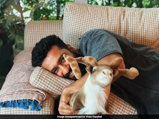 No Points For Guessing Who Captured Vicky Kaushal's "Lazy Sunday" Mood