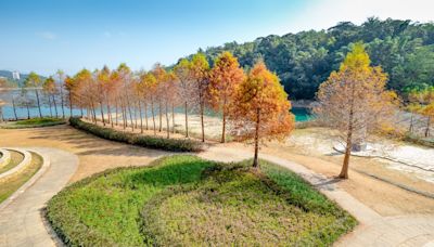 【免費好好玩】南投免門票親子景點推薦～親子公園、主題館、生態農園、特色廟宇...各類省荷包好玩景點任你選！