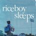 Riceboy Sleeps (film)