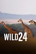 Wild 24