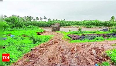 Controversy Surrounding Construction of New Bridge in Valsad District | Surat News - Times of India