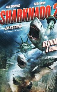 Sharknado 2: The Second One