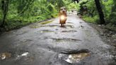 Mumbai: BMC contemplates appointing IIT for crack-free roads