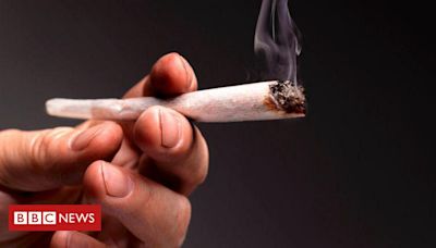 Descriminalização da maconha: o que é o transtorno por uso de cannabis, que afeta até 20% dos usuários