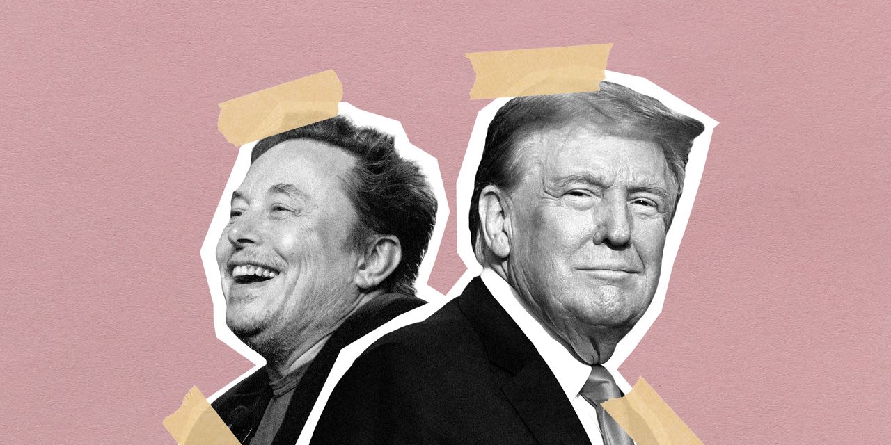 Exclusive | Inside Donald Trump and Elon Musk’s Growing Alliance