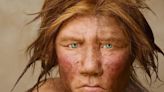 Demuestran que los neandertales fueron carnívoros