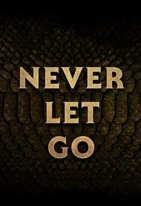 Never Let Go (2024 film)