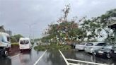 快訊／台南雨彈狂襲！台一線新市路段大樹倒塌 轎車慘遭「擊落壓扁」