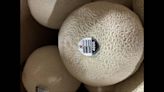 Más fallecidos y hospitalizados: actualización del brote de salmonela por melón cantalupo en Estados Unidos