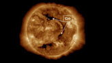 Holes in sun's atmosphere can help predict space weather on Earth