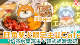 【旺角Cafe】柴犬工房限定主題超可愛！焙茶水果窩夫＋韓式綿滑雪奶 | HolidaySmart 假期日常