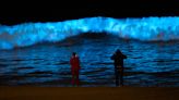 Sparkling ocean 'glows up' each summer: Why bioluminescence occurs and where to see it