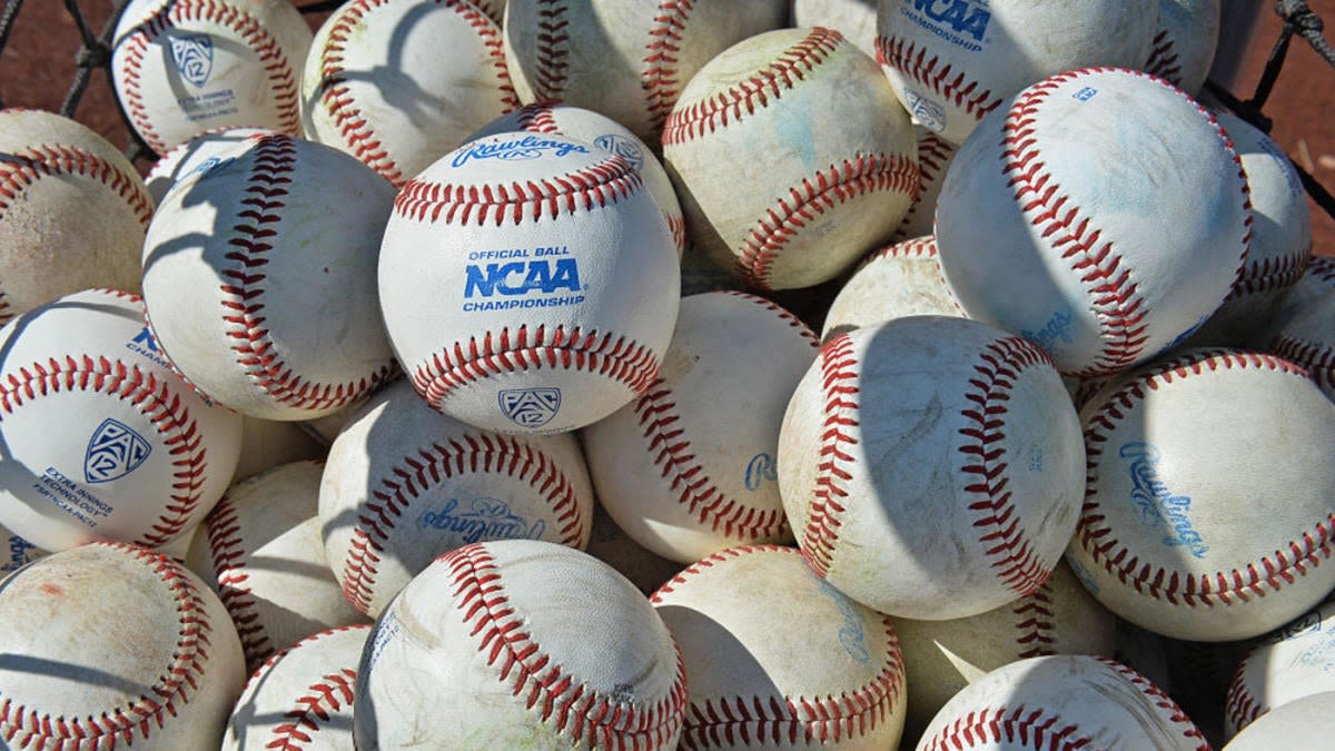 LOOK: Dog snags home run ball during University of Arizona baseball game