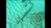 Misterio de la espada de 900 años encontrada en el fondo del mar Mediterráneo finalmente resuelto