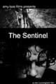 The Sentinel - IMDb