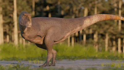El dinosaurio Keloken: nuevas especies de dinosaurios carnívoros fueron halladas en Argentina | Sociedad