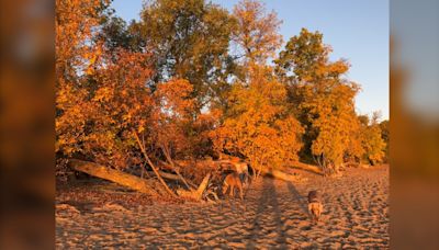 Colleen Bready’s forecast: Fall has arrived