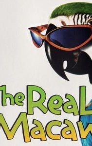 The Real Macaw (film)