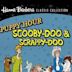 The Scooby-Doo/Scrappy-Doo/Puppy Hour