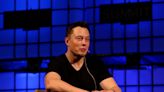 Elon Musk was on brink of death after catching malaria on South African safari, book claims