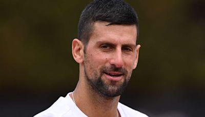 Tennis Pro Novak Djokovic Falls to the Ground After Freak Accident With Metal Water Bottle at Italian Open