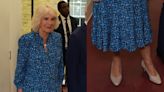 Queen Camilla Shines in Kitten Heels and Printed Dress at RADA Appearance in London