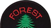 Elderly man lost in ADKs rescued by forest rangers