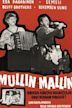 Mullin mallin