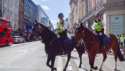 Tres caballos del Ejército británico se escapan y vuelven a sembrar el caos en las calles de Londres