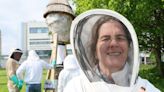 Researchers call on citizen scientists to support ‘Plan Bee’ | BreakingNews.ie
