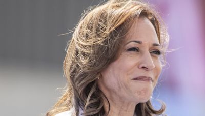 Voters reveal what they really think of Kamala Harris