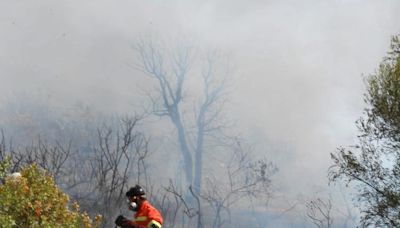 El fuego arrasa cientos de hectáreas y obliga a evacuar explotaciones ovinas en Cerdeña