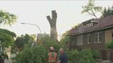 Tree crashes into Beverly home during severe storm; over 30 reports of damage in the area