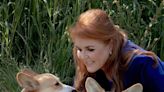 Sarah Ferguson Shares Update On Queen Elizabeth's 2 Corgis, 1 Year After Monarch's Death