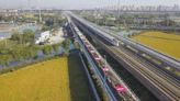 Yangtze River Delta sees increasingly expanded, optimized railway network