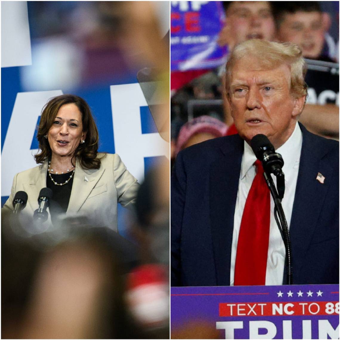 Harris takes the lead over Trump in Miami-Dade after Biden’s exit, poll finds