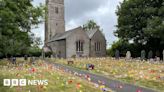 Dowland wildflower display raises money for mental health