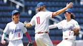Selinsgrove pitcher shines, Seals blank Pittston Area in D2/4-5A baseball finals - Times Leader
