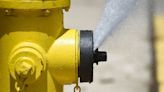 Vandals open fire hydrants, depleting Cokato water supply