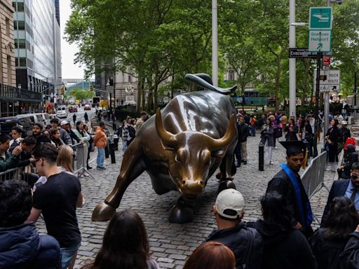 Stocks face meagre upside after 2024 gains, survey shows