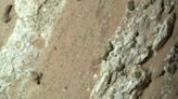 Perseverance rover finds evidence that suggests ancient microbial life might have existed on Mars