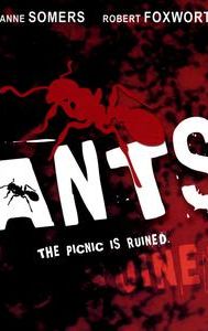 Ants!