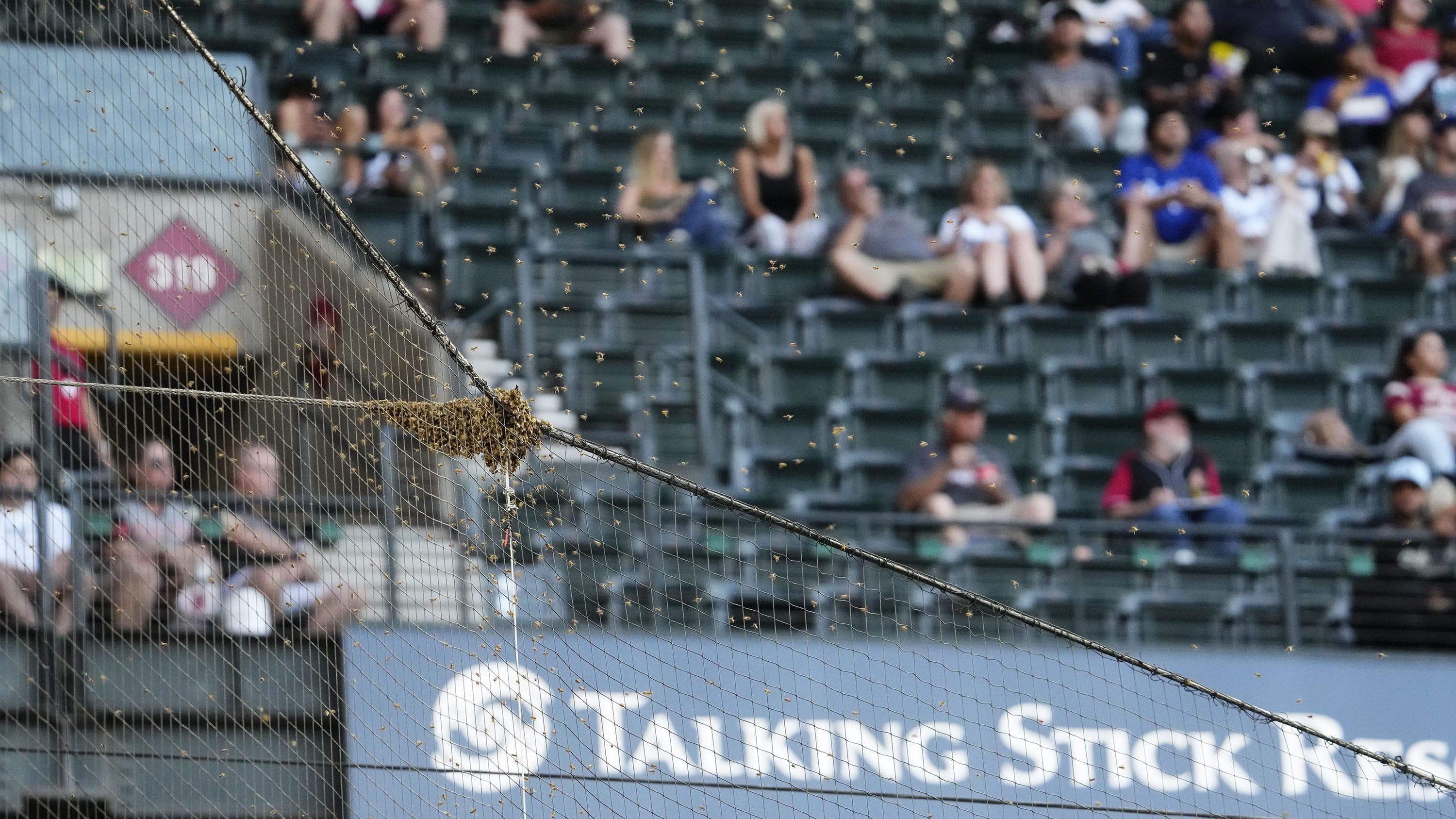 Dodgers vs Diamondbacks Delayed by MLB For Unbelievable Reason