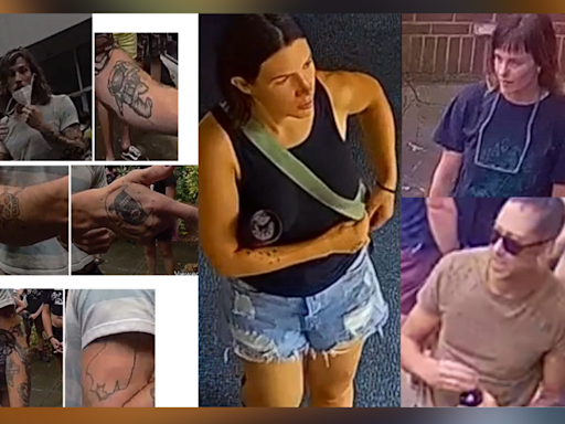 Asheville police seek more persons of interest in West Asheville library assault