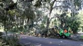 County employee killed by falling tree during Tuesday night's thunderstorms